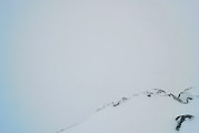 08:00 MEZ