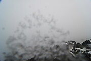 08:00 MEZ